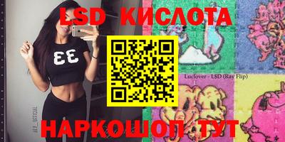 прущие грибы Краснодар