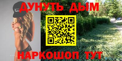 прущие грибы Краснодар