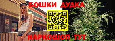 прущие грибы Краснодар