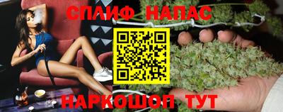прущие грибы Краснодар