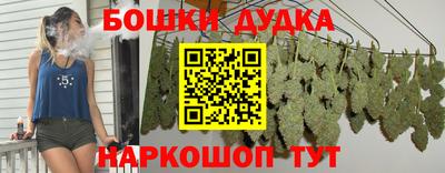 прущие грибы Краснодар