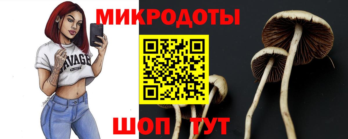 Нерюнгри  Псилоцибиновые грибы Cubensis  Вход с VPN 